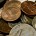 Loose Change