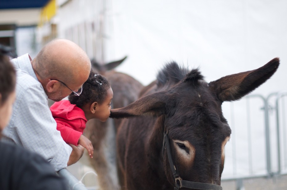 Sweet love Una bambina coccola e bacia l