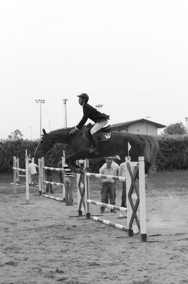 Sospeso Cavallo sospeso sopra un ostacolo in bianco e nero