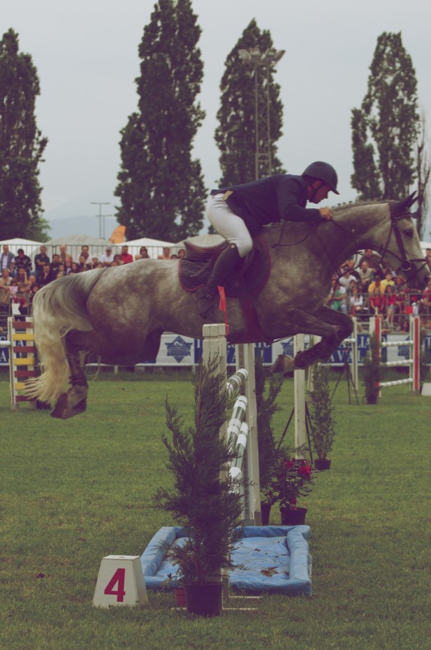 A cavallo dell Cavallo in movimento sopra l