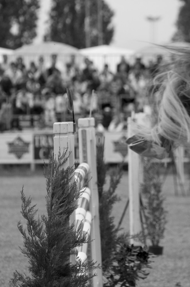 Gone Alla fine solo la coda di un cavallo mentre il resto è già passato