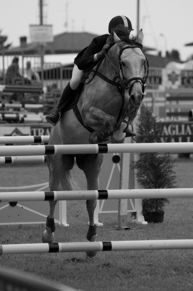 Jumping Foto frontale salto ostacoli cavallo in bianco e nero