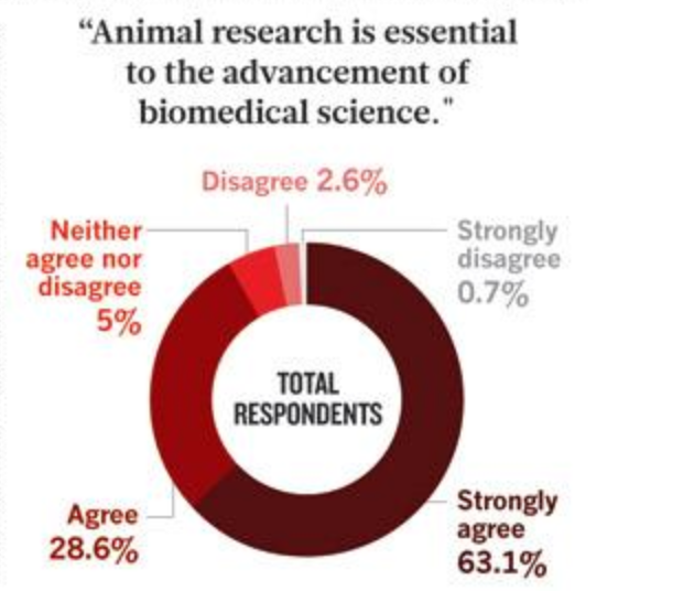 animals for biomedical research essay animals for biomedical research essay