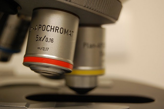 Microscope